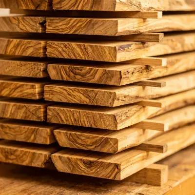 Olive wood drying in the ArtisRaw seasoning store