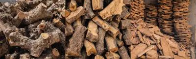 Retired Chemlali olive wood: uprooted stumps, sawn logs, and cut blanks stacked to season